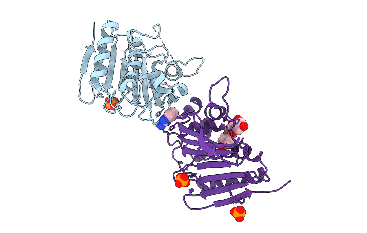 7DQM image