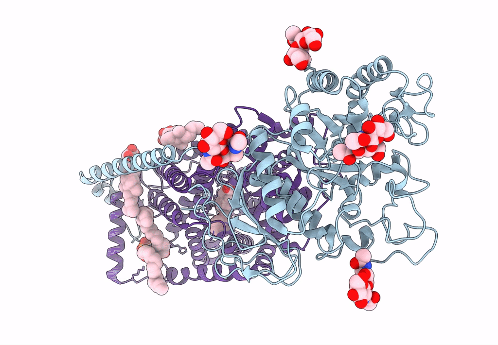 7DSK image