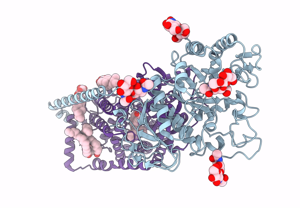 7DSL image