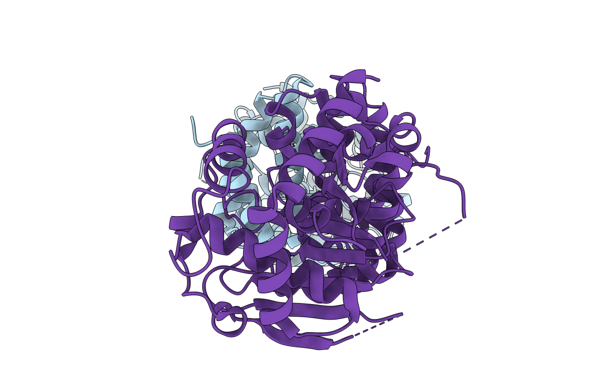 7DSM image