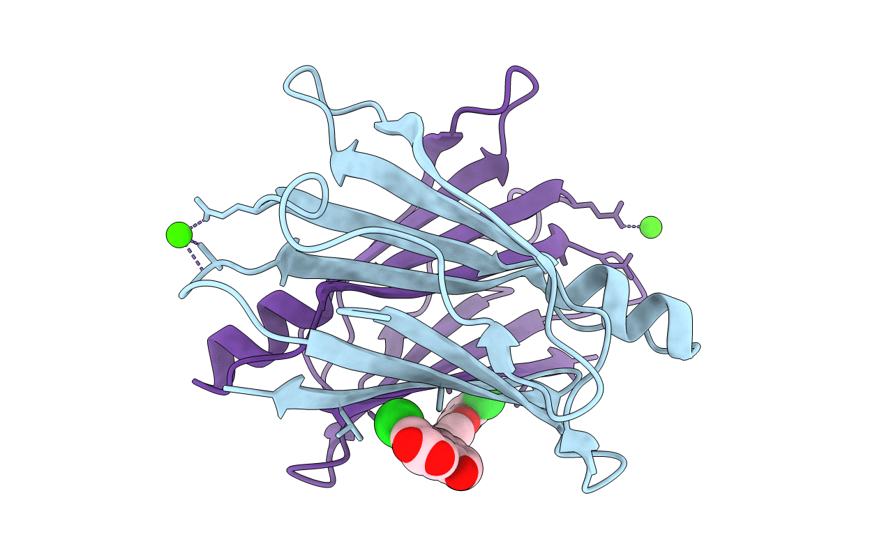 7DT8 image