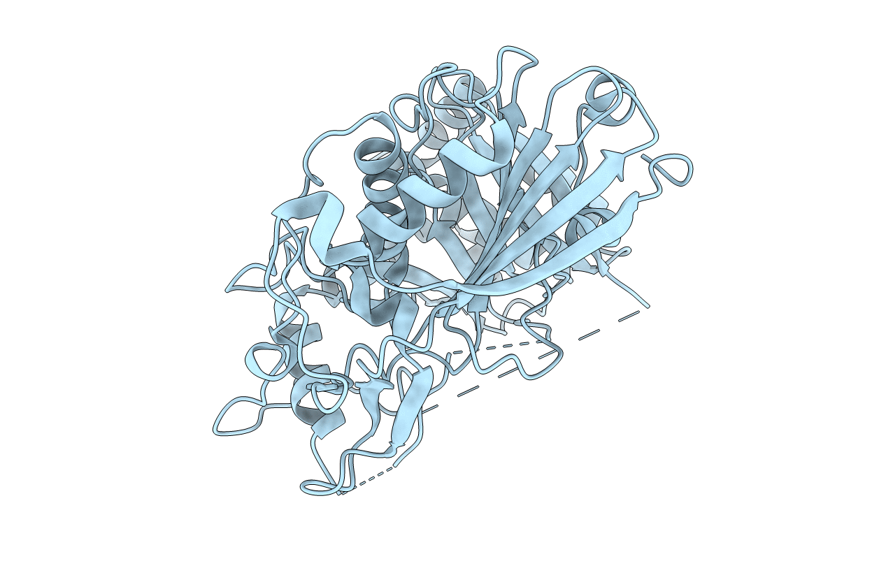 7DTP image