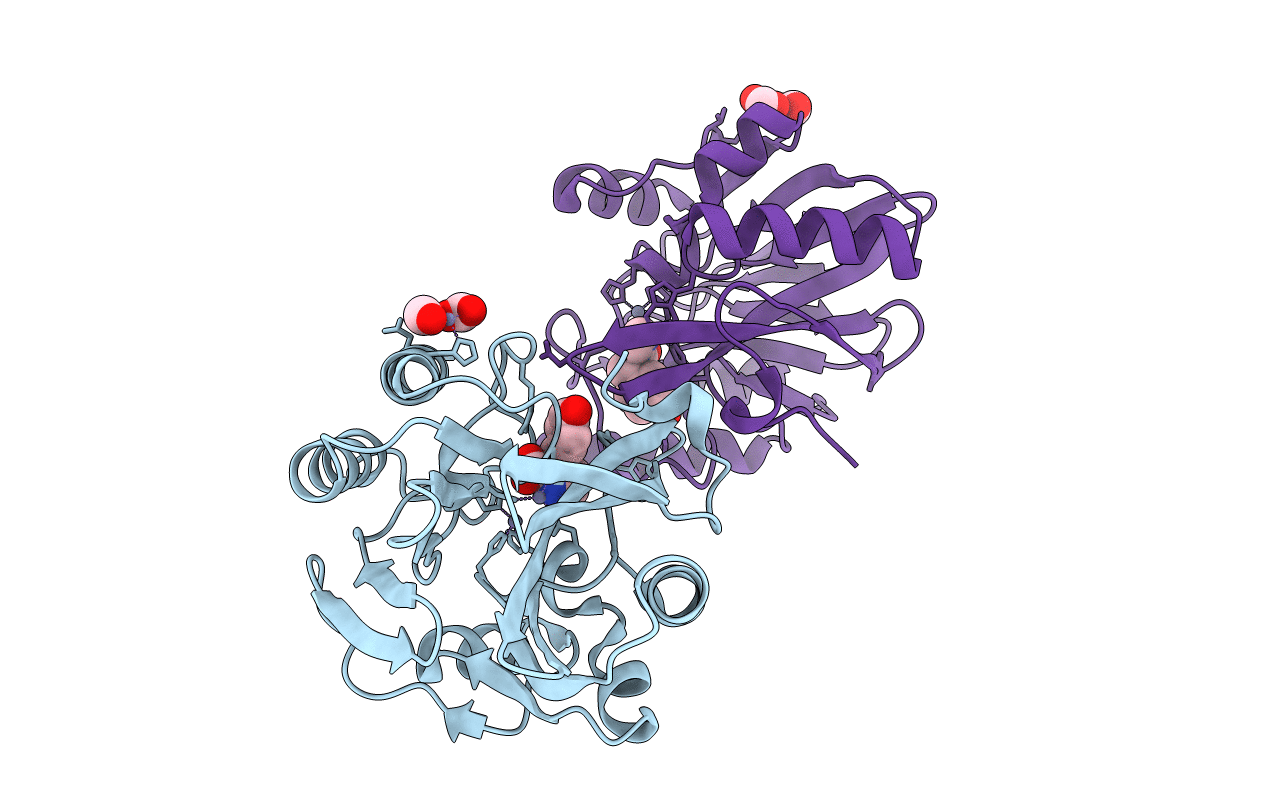 7DV1 image