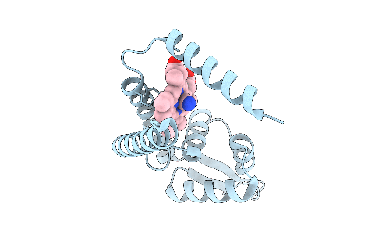 7DVU image