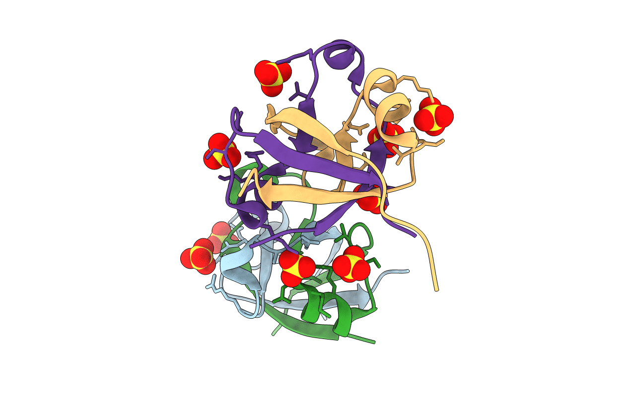 7DXS image