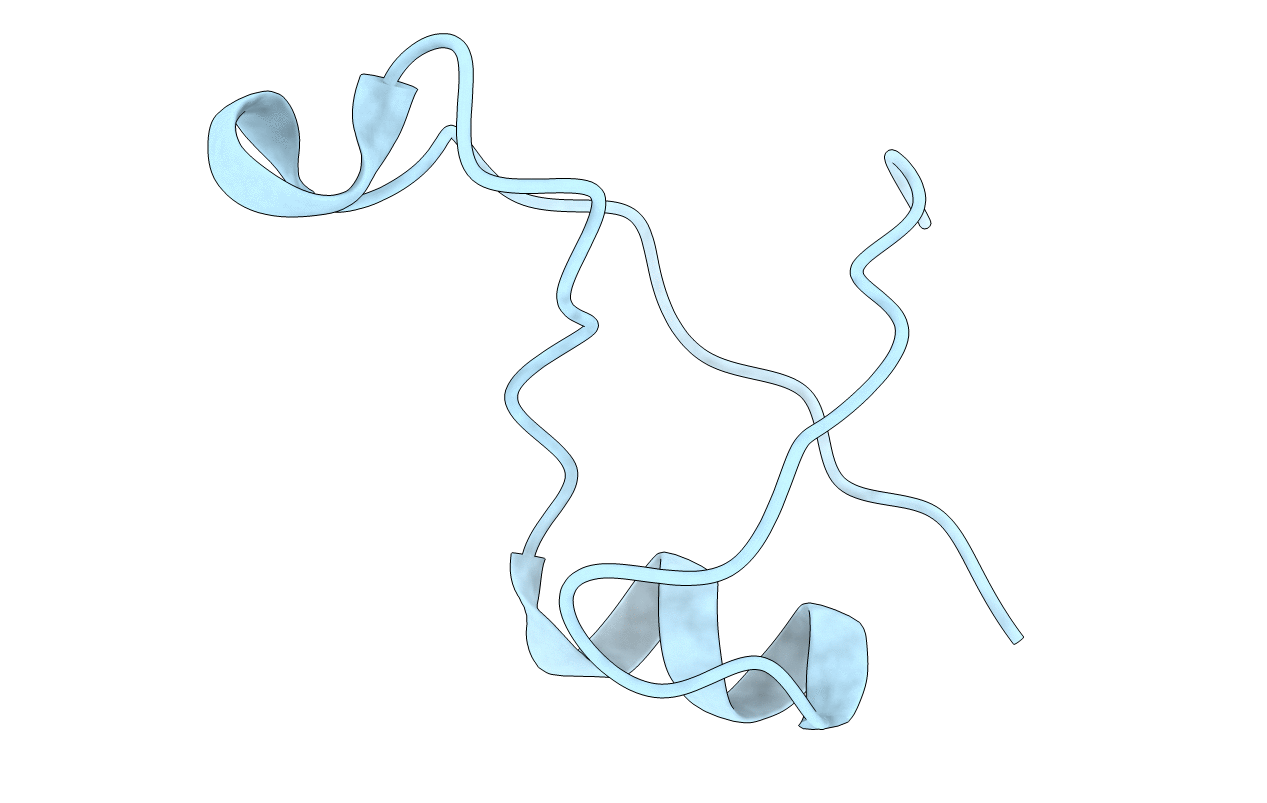 7DXT image