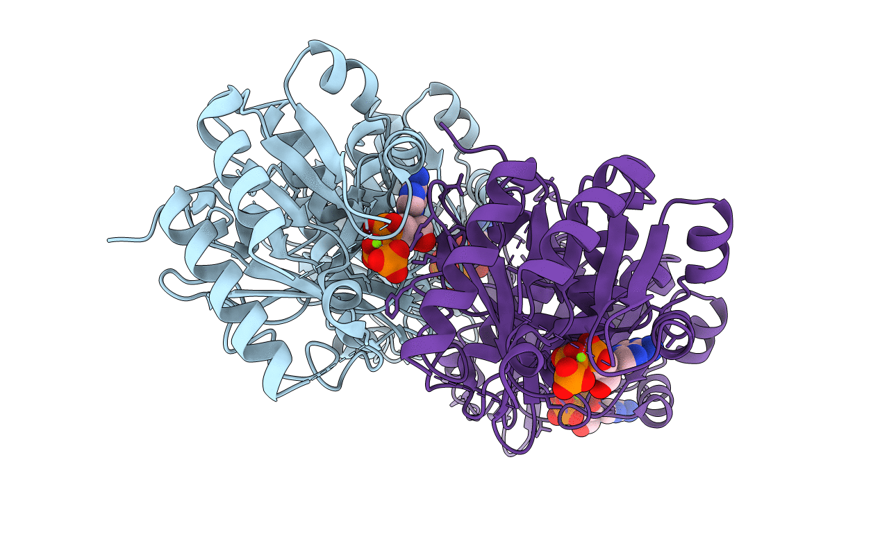 7DYI image