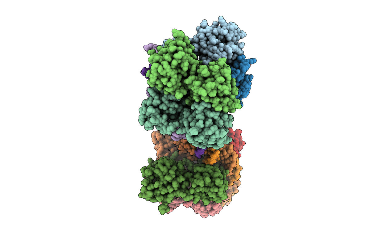 7E1B image