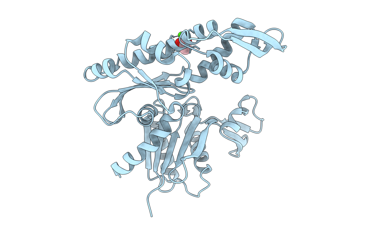 7E1C image