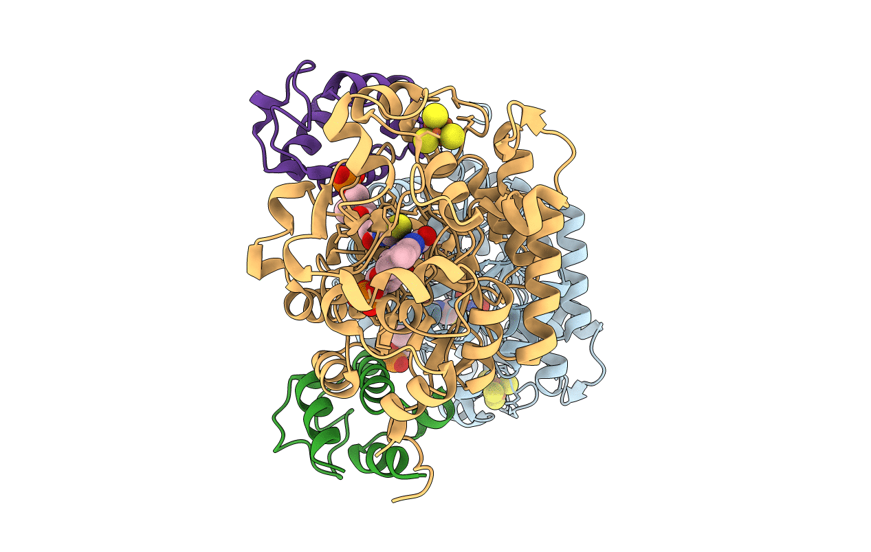 7E1R image