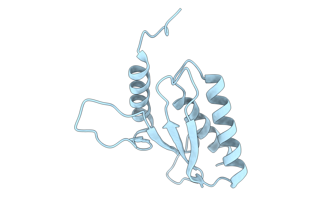 7E2K image
