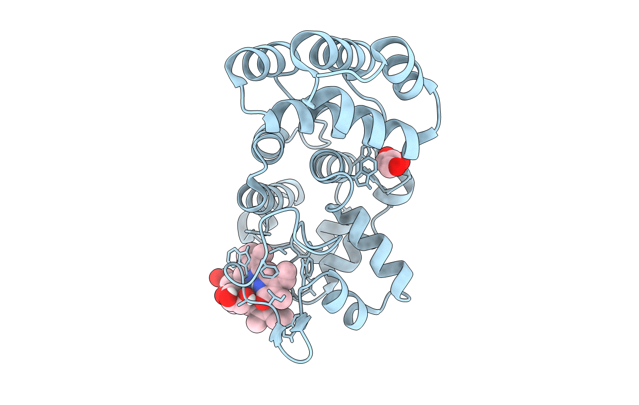 7E2S image
