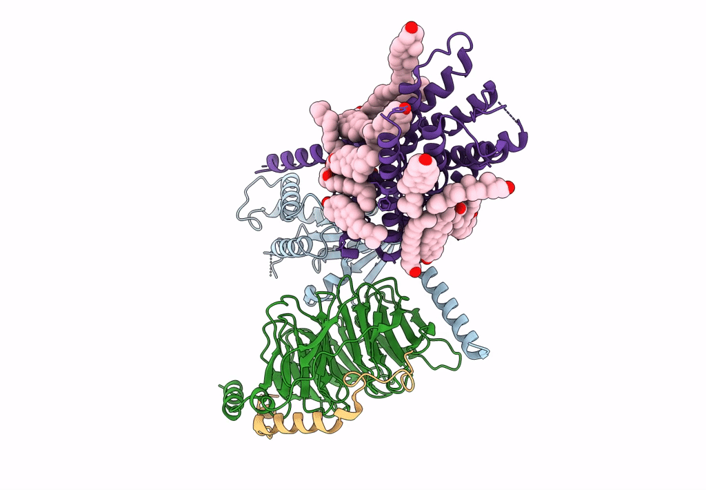 7E2X image