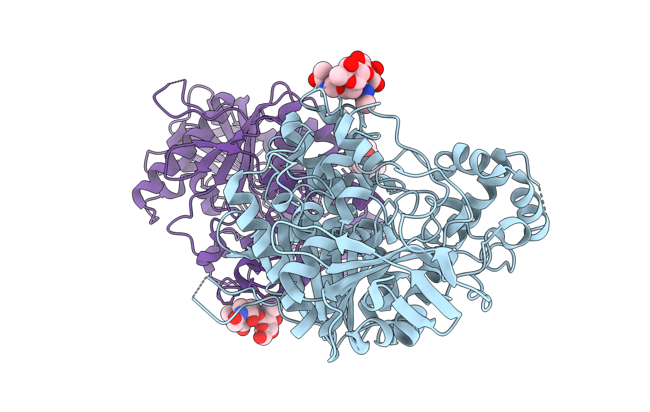 7E3D image
