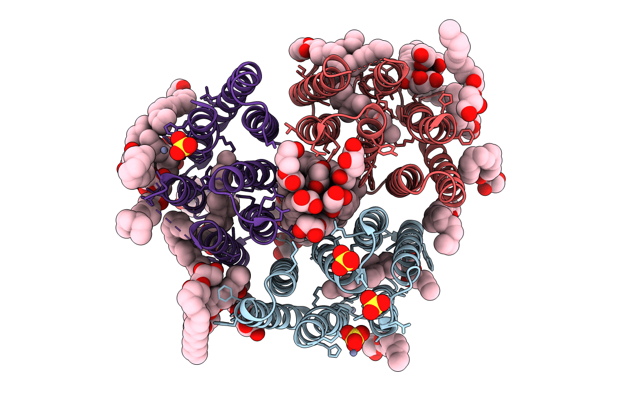 7E4G image