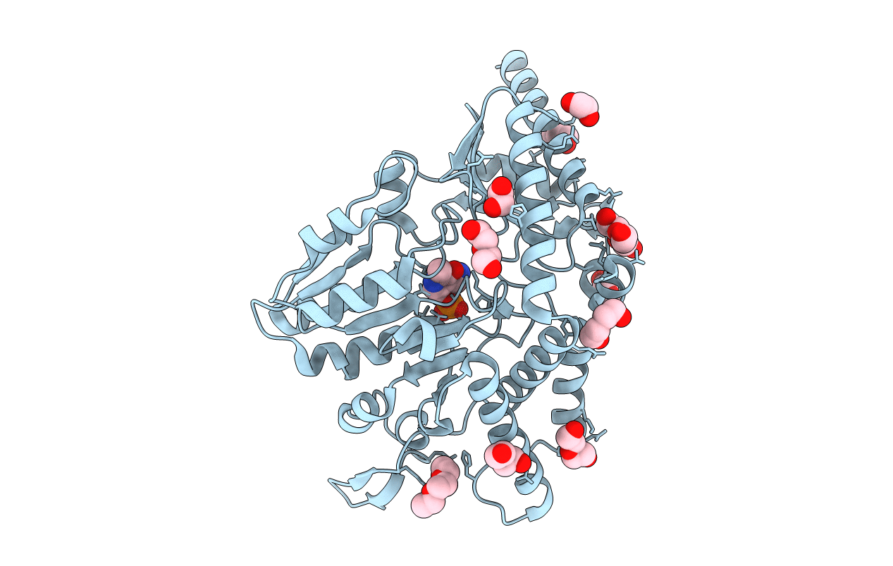 7E6B image
