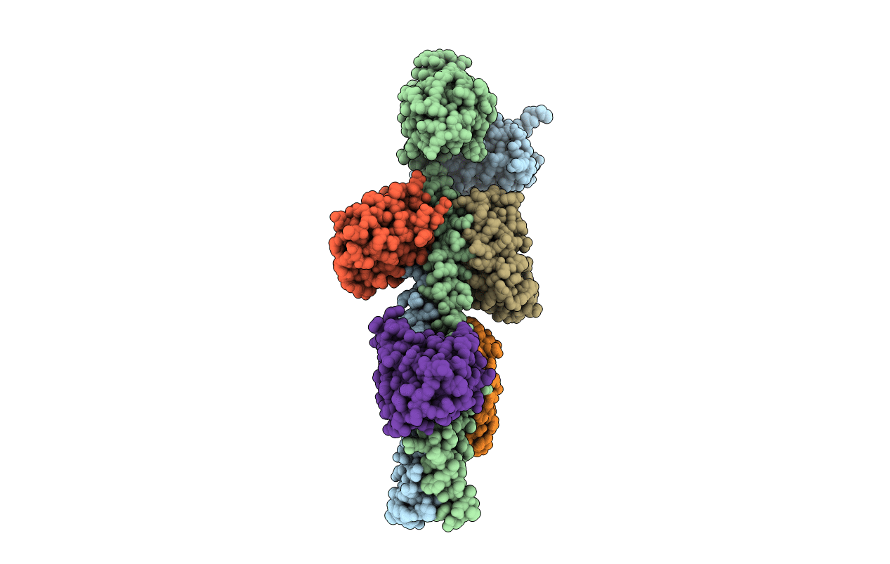 7E6G image