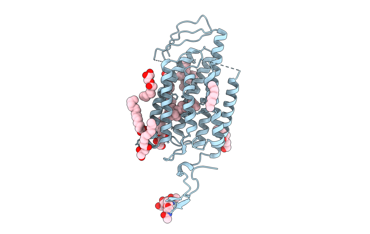 7E6X image