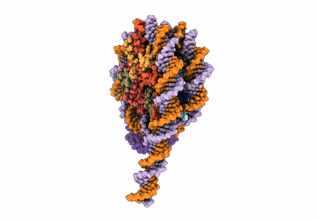 7E8D image