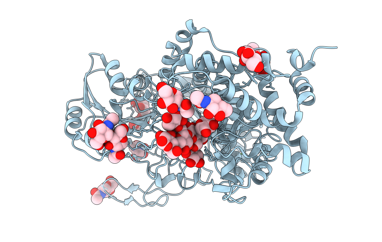 7EAP image