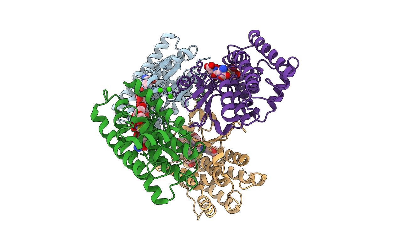 7EBV image