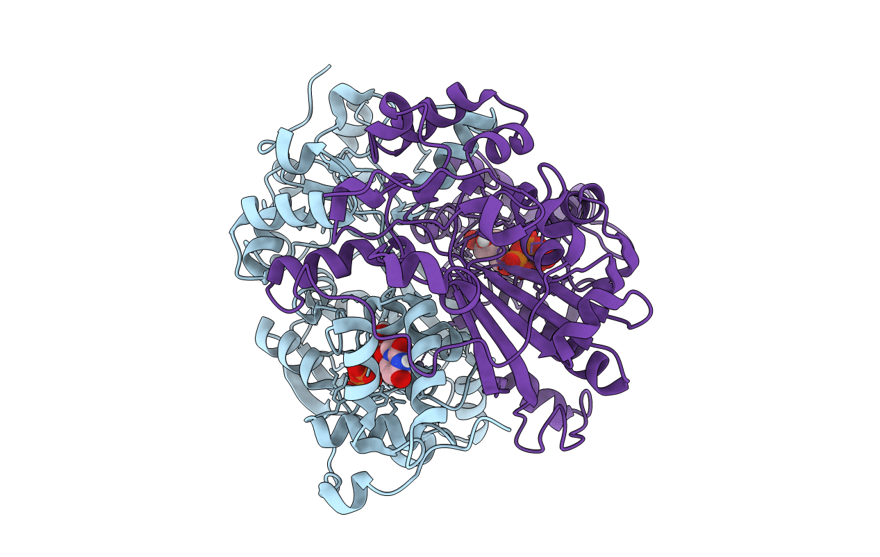 7EEV image