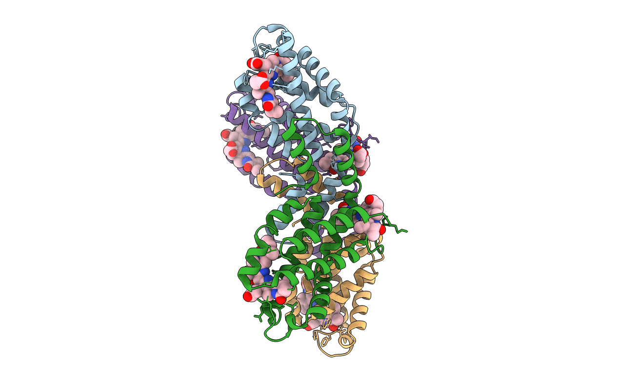 7EFV image