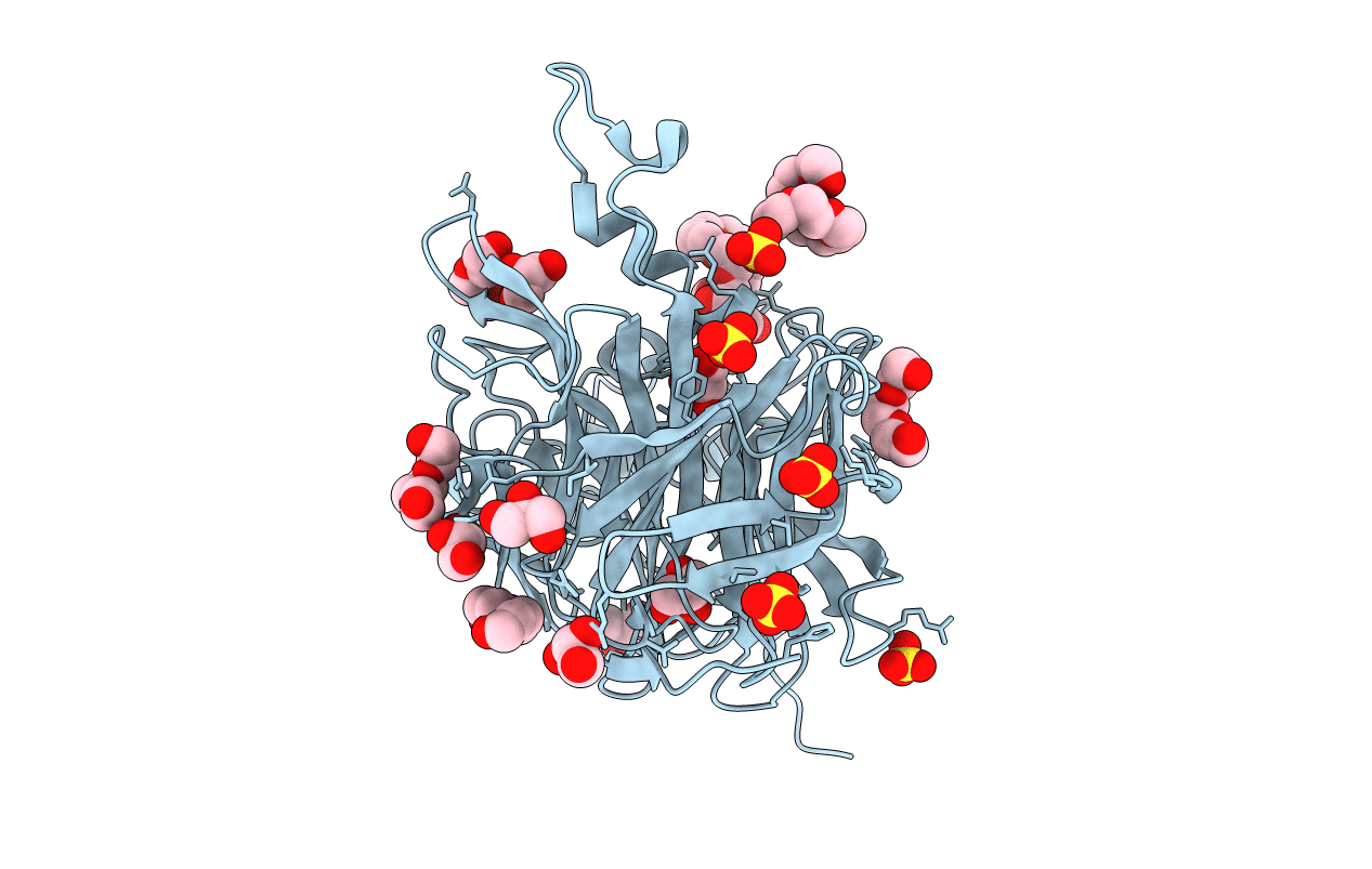 7EHT image