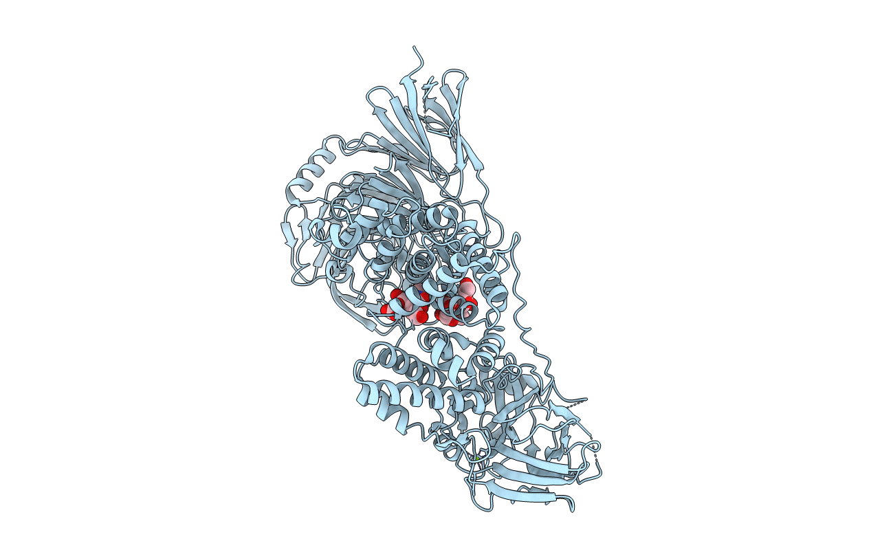 7EIS image