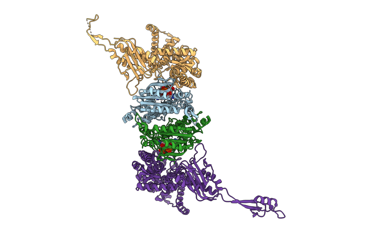 7EIV image