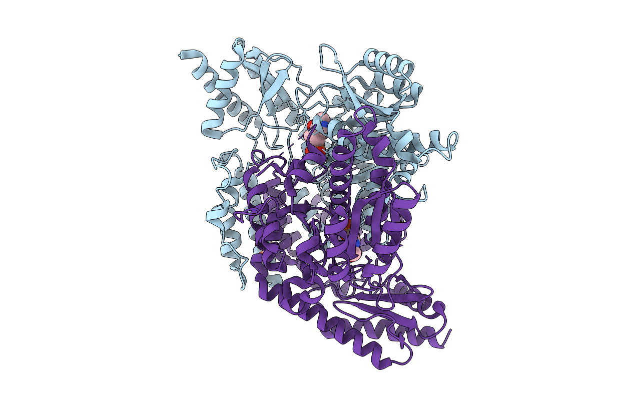 7EIX image