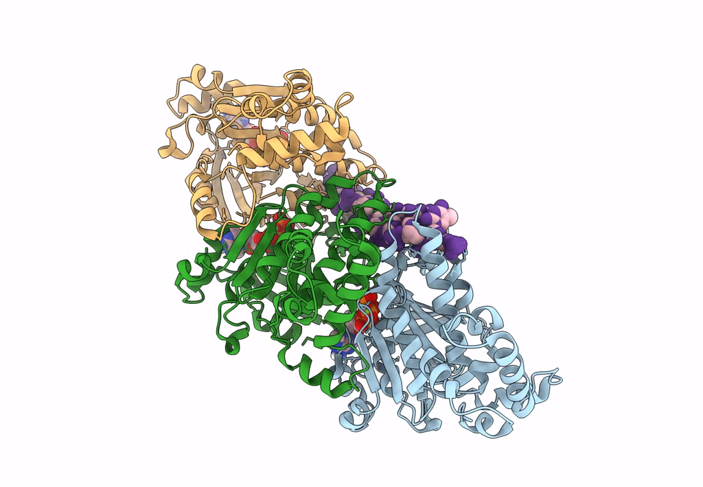 7EJ6 image