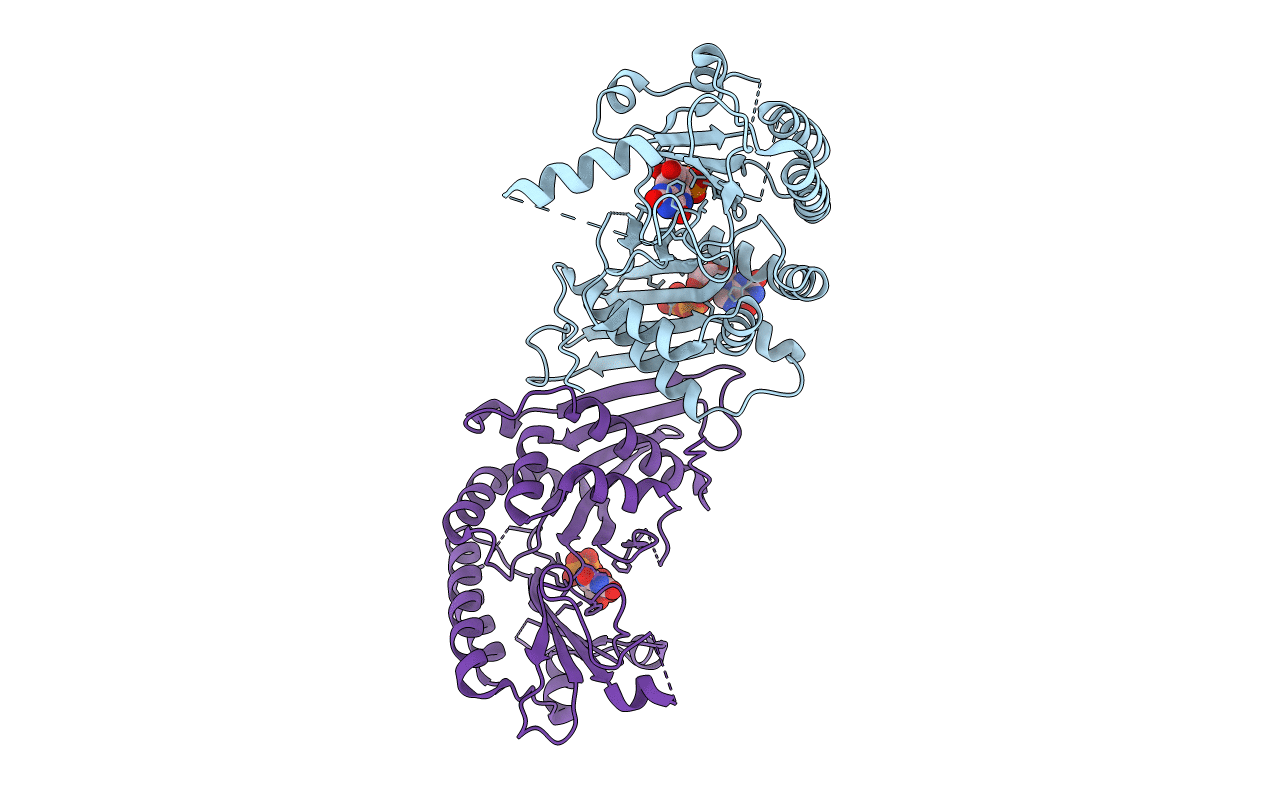 7EM2 image