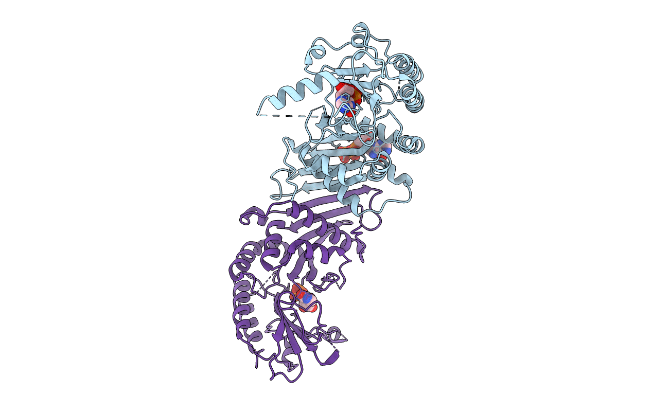 7EM6 image