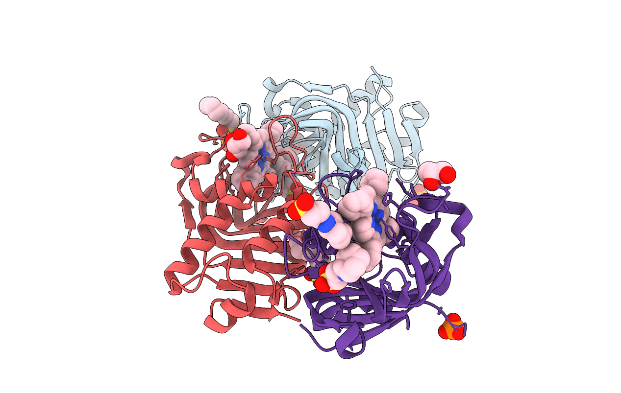 7EMP image