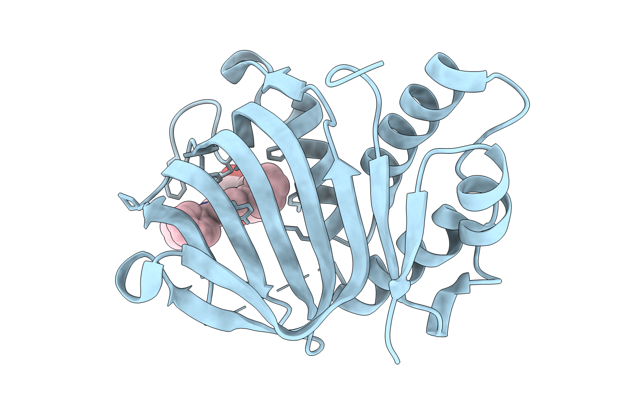 7EMW image
