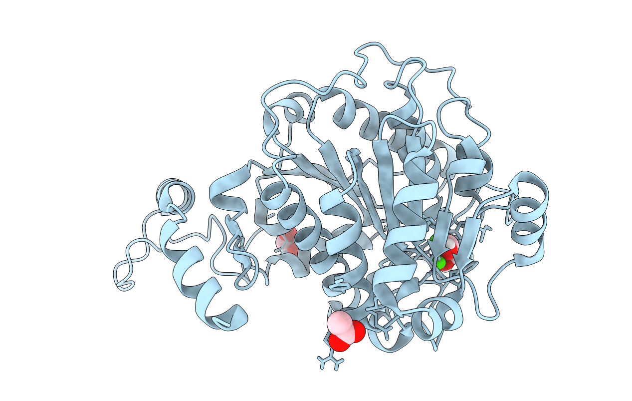 7ESR image