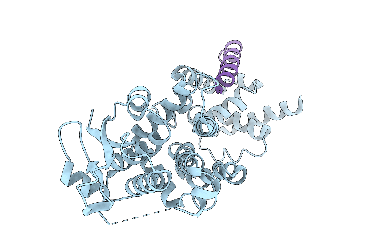 7EV8 image