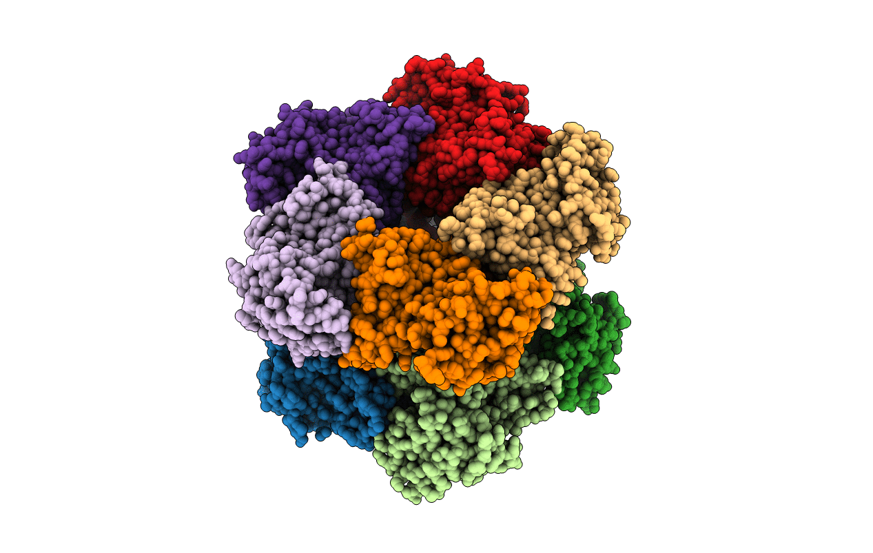 7EVT image