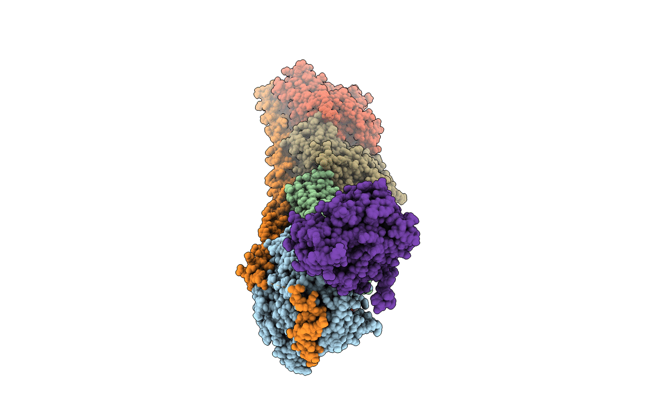 7EXC image