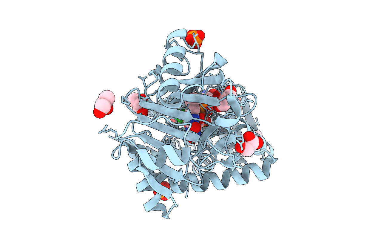 7EXS image