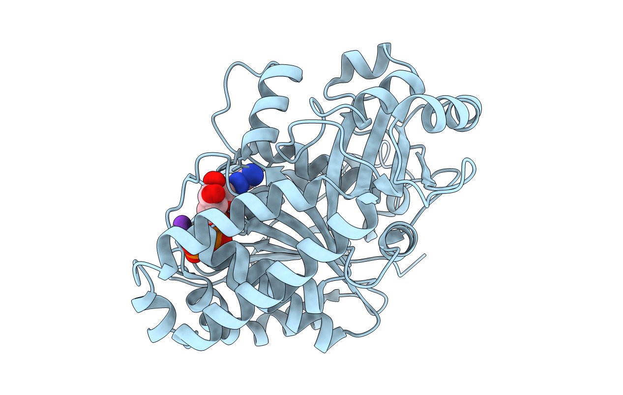 7F1A image