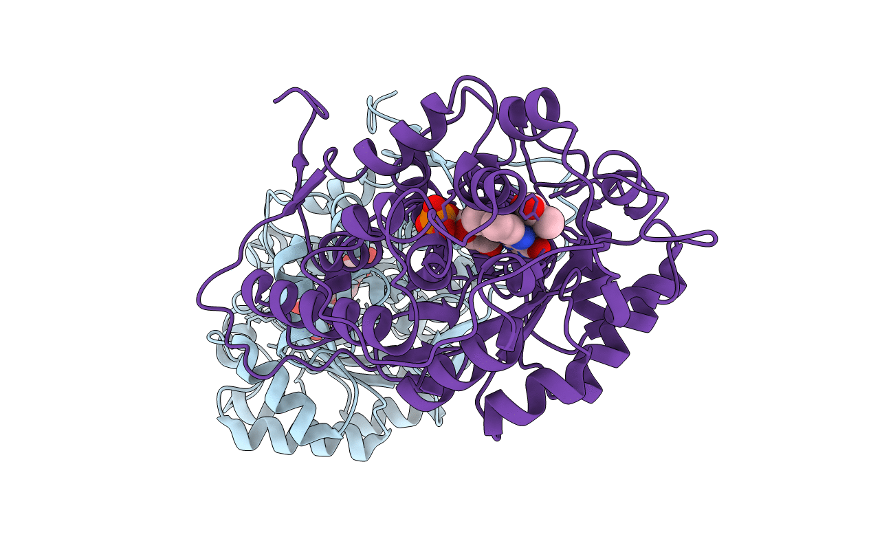 7F22 image