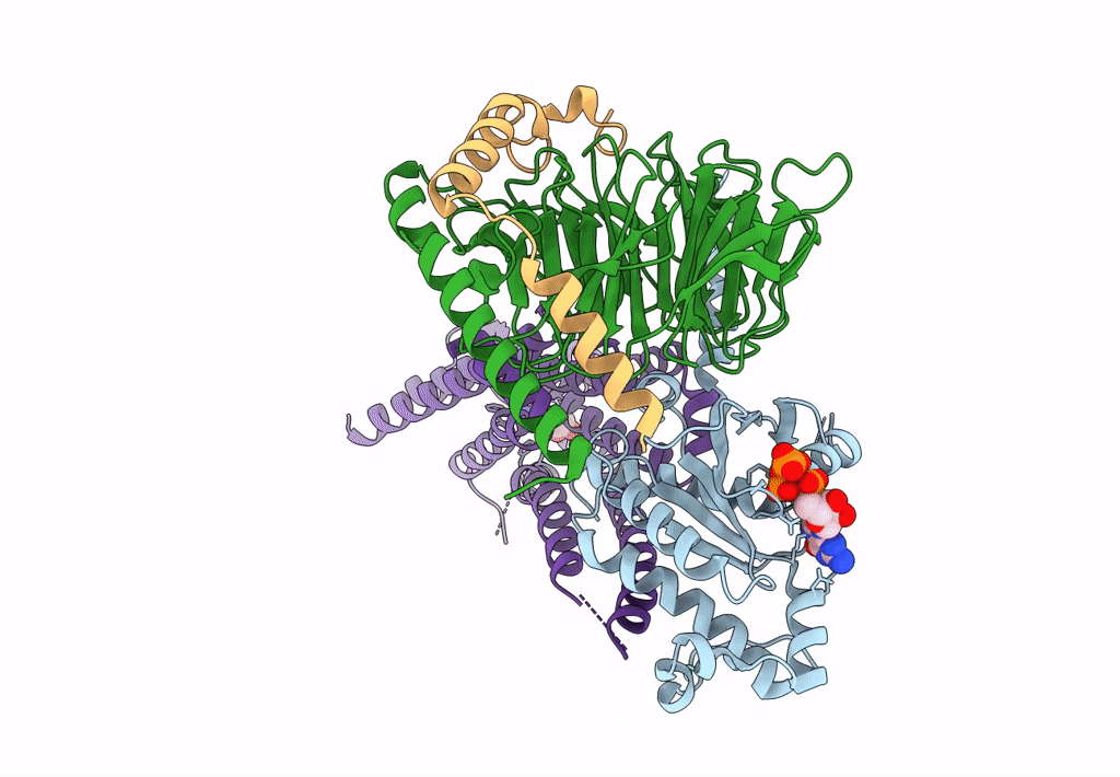 7F24 image