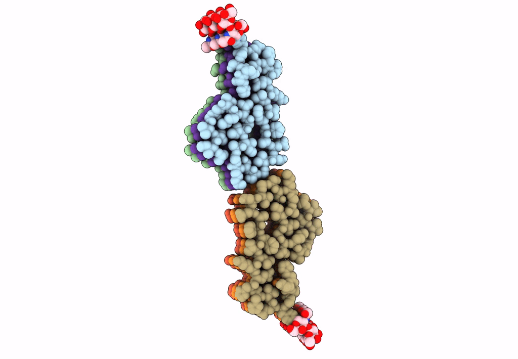 7F29 image