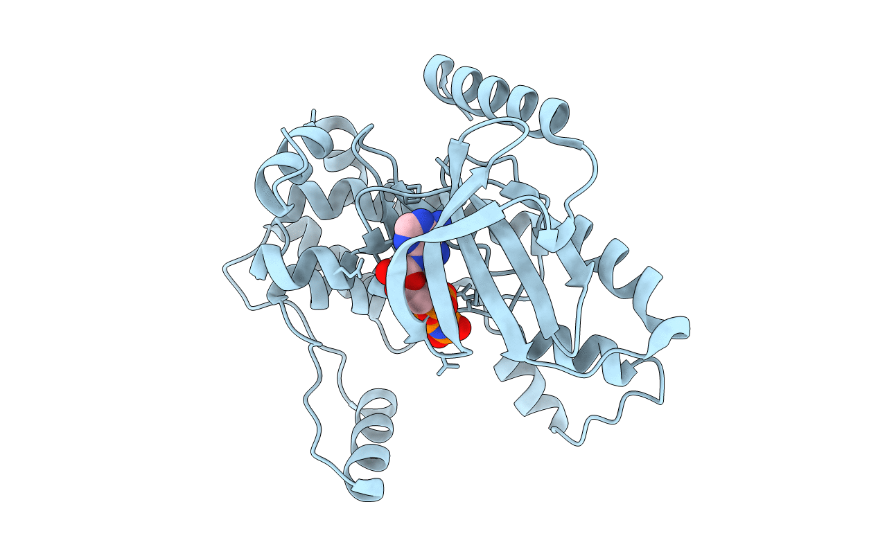 7F2X image