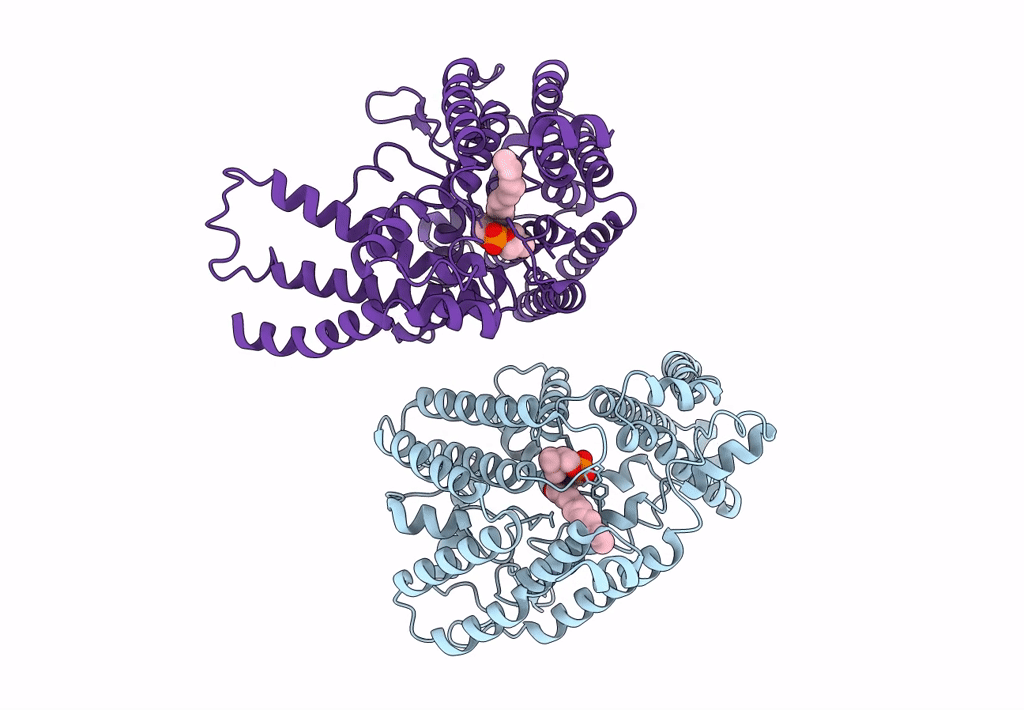 7F3X image
