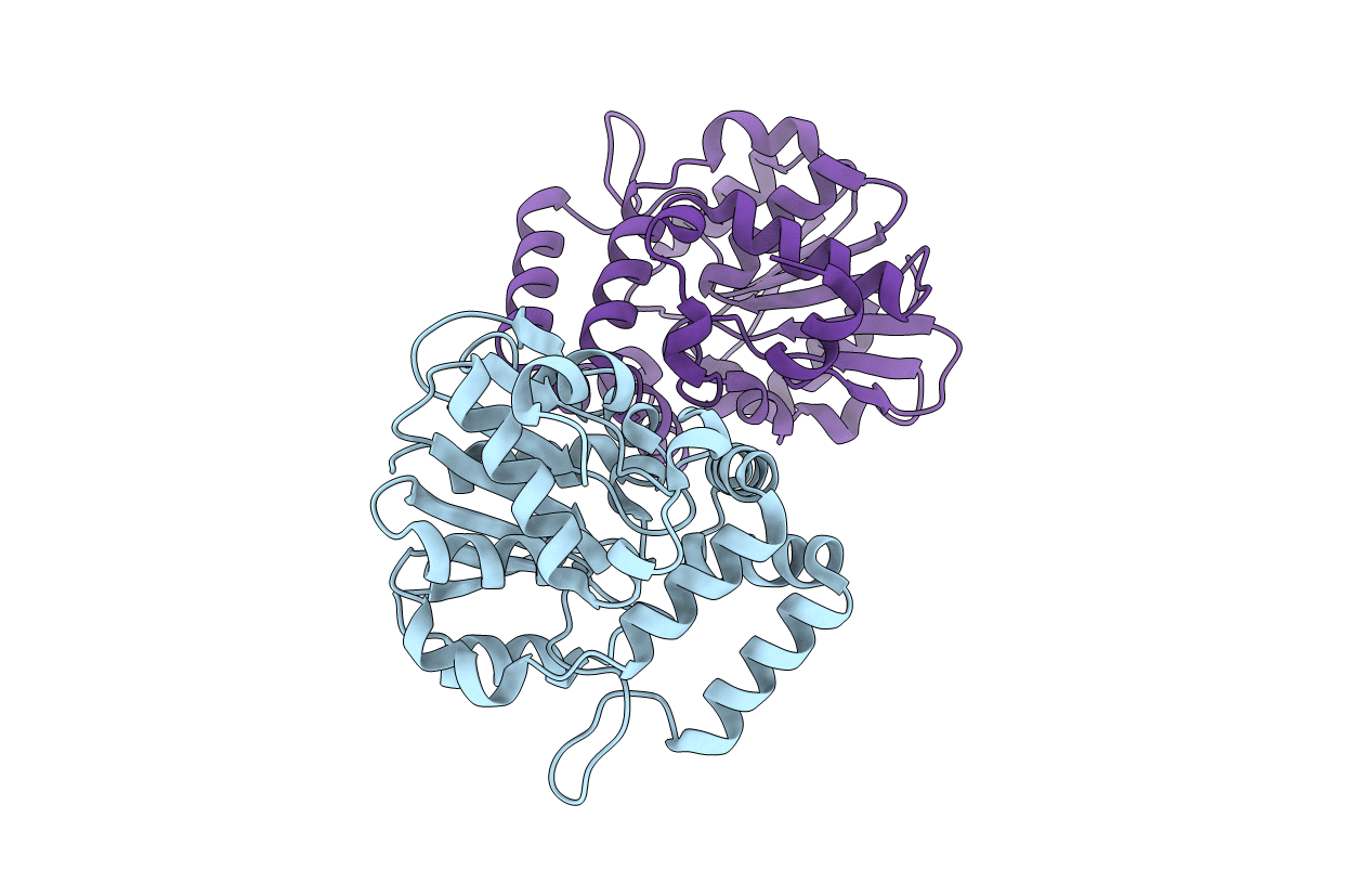 7F5W image