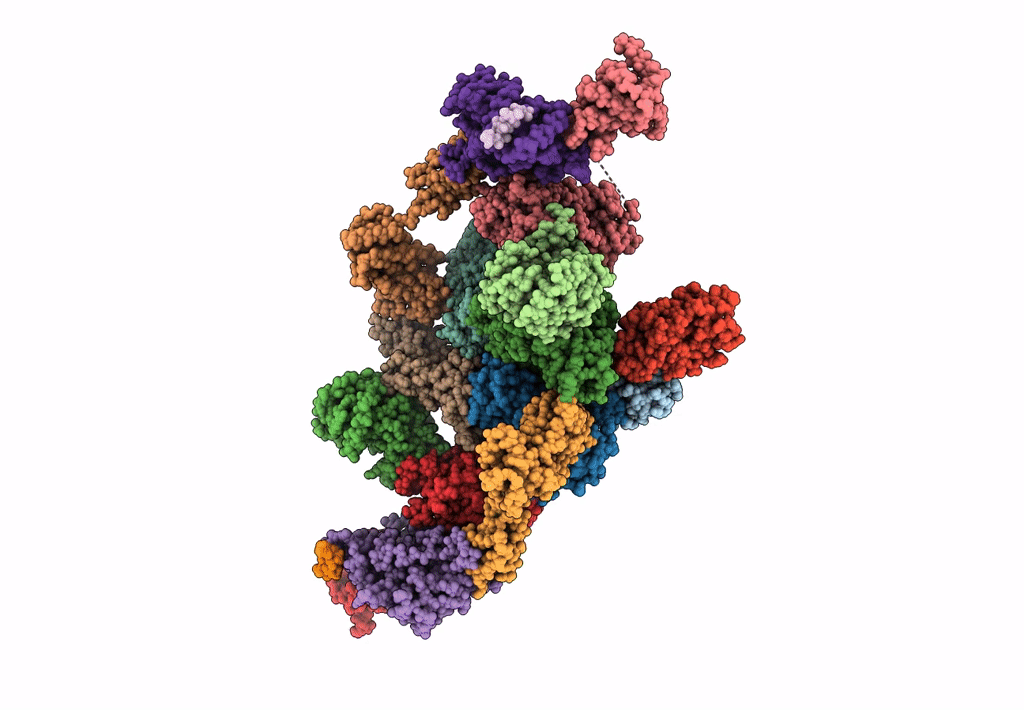 7F67 image