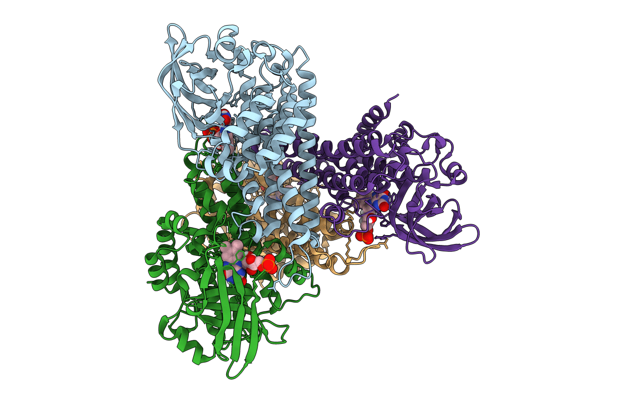 7F74 image